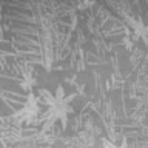 Meet your Posher, Mandie